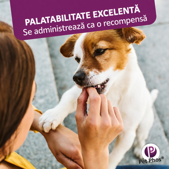 Pet Phos Pelage Ceva – Supliment Vitamino-Mineral pentru Câini – 50 Tablete
